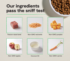 Pasture-Raised Lamb Grain-Free Dog Kibble