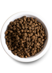 Puppy Essentials Pack
