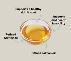 Icelandic Herring & Salmon Oil For Dogs