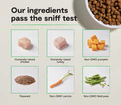 Homestead Turkey & Chicken Grain-Free Dog Kibble